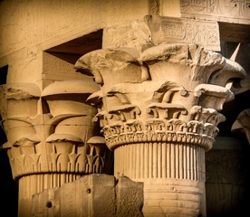 Wall Mural - columns capitals at kom-ombo (egypt)