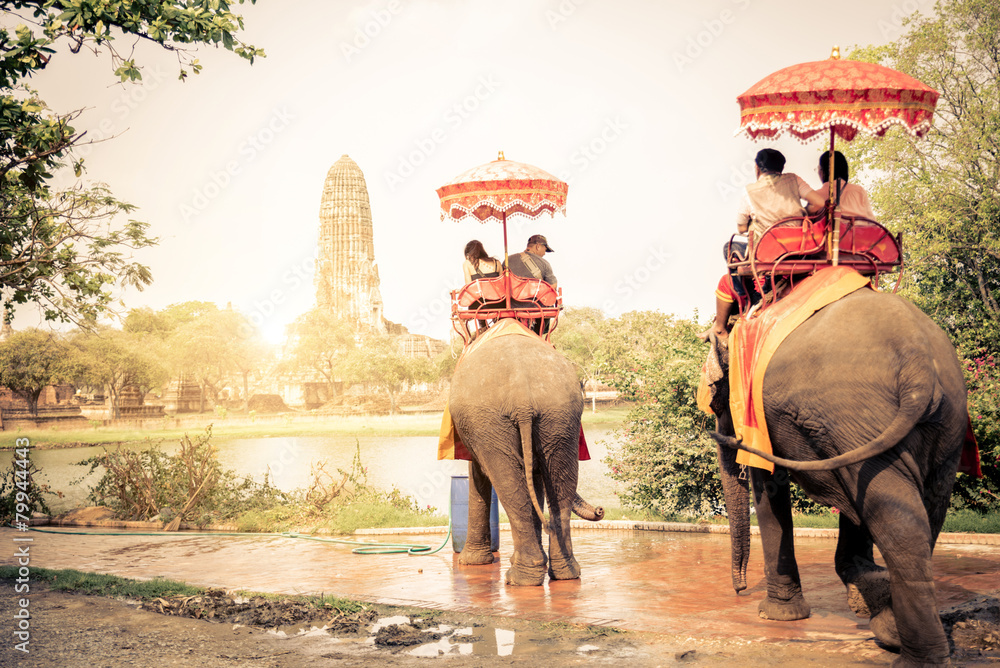 Elephants in Ayutthaya - obrazy, fototapety, plakaty 