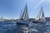 Fototapeta  - Sailing ships yachts with white sails in the open sea.