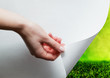 © Photocreo Bednarek - Hand pulling a paper corner to uncover, reveal green landscape