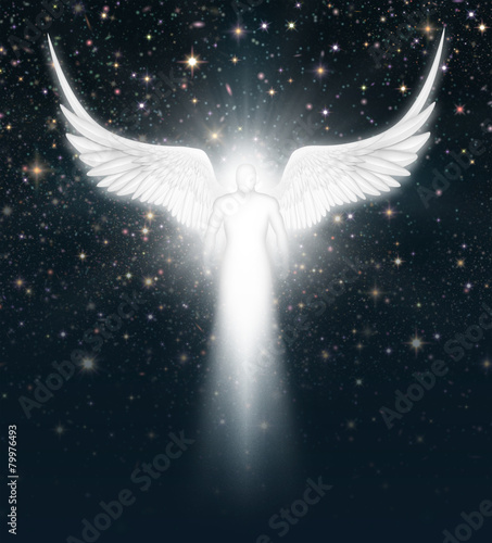 Obraz na plátně Angel in the Night Sky