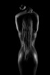 © zhagunov_a - silhouette of a naked female back and buttocks