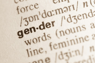 Wall Mural - Dictionary definition of word gender