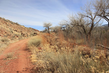 Red Dirt Road New Mexico Wilderness
