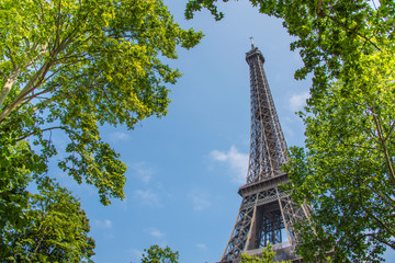 Eiffel tower on bright summer day