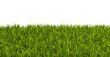 canvas print picture - Gras, Rasen, Wiese, Ostergras, Sommer, Hintergrund, Vorlage