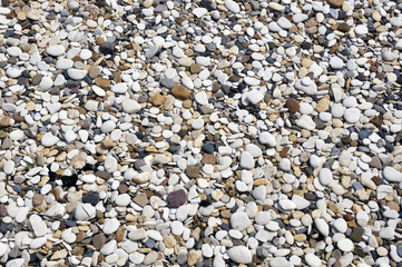 Wall Mural - Smooth pebbles on beach