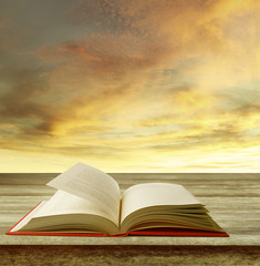 Wall Mural - Book on table in front of bright sky