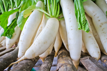 Daikon radish for sale in market.