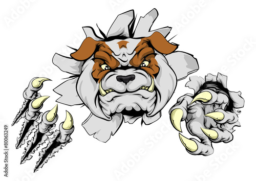 Bulldog ripping through wall