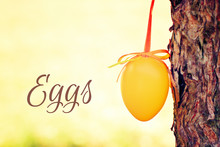 Easter Eggs Outdoor Hanging On A Bush - Greeting Card
