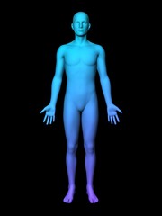 3D male