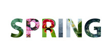 Word Spring With Colorful Spring Images Inside The Letters