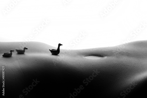 Fotografie, Obraz Bodyscape