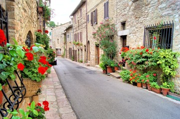 Wall Mural - Flower lined medieval street in Assisi, Italy