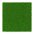 Square green grass banners, vector illustration.