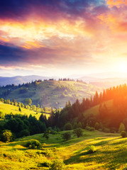 Wall Mural - sunny mountain landscape