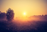 Fototapeta  - Vintage photo of morning foggy meadow in summer. Rural landscape