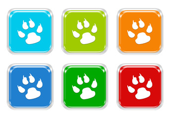 Wall Mural - set of squared colorful buttons with pet footprints symbol