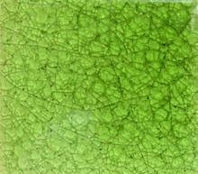 Bright Green Crack Texture Tile