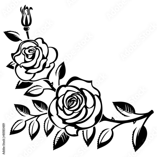 Obraz w ramie Branch of roses