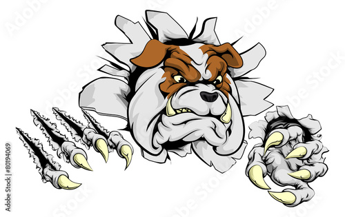 Bulldog ripping through bac...