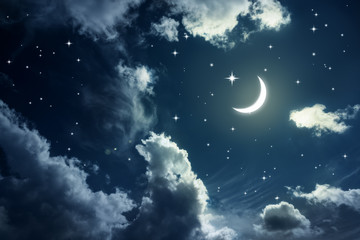 Wall Mural - night