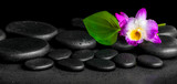 Fototapeta Desenie - spa background of purple orchid dendrobium and green leaf Calla