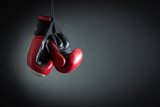 Fototapeta  - Boxing Gloves