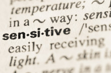 Dictionary Definition Of Word Sensitive