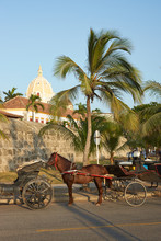 Horse Drawn Carriage In Cartagena De Indias