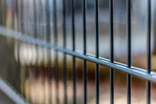 Bars Fence With A Blurry Background