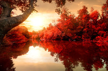 Red Autumn On River