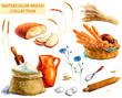 Watercolor bread collection