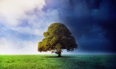 Aufkleber - Night and day scene with tree