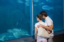 Happy Couple Looking At Fish Tank