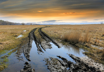 Wall Mural - dirt road in steppe