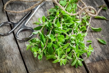 Wall Mural - bunch of raw green herb marjoram with scissors on a wooden table