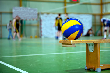 volleyball ball