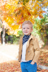 Canvas Print - kid at fall