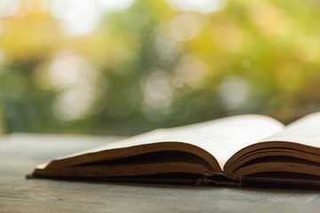 Wall Mural - Book. Open book