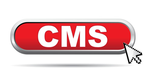 Canvas Print - CMS ICON