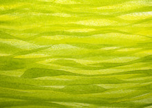 Horizontal Spring Grass Background Painted With Gouache