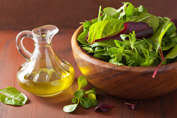 Wall Mural - fresh salad leaves in bowl: spinach, mangold, ruccola