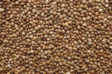 Hemp seeds background