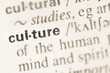 Dictionary definition of word culture