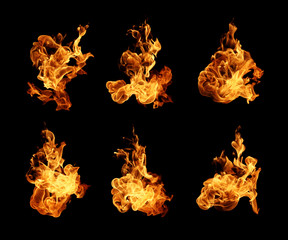 Wall Mural - Fire flames collection isolated on black background