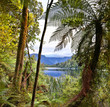 Lake Matheson, New Zealand - HDR image