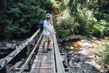 Man Walking Across Small Foot Bridge In Lush Temperate Rainforest, Oswald West SP OR