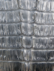 Wall Mural - Black crocodile leather texture closeup background